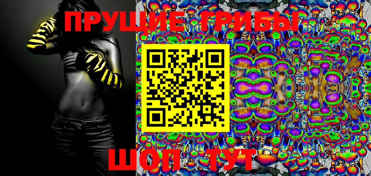 Псилоцибиновые грибы Magic Shrooms  Вход с VPN  Гурьевск 