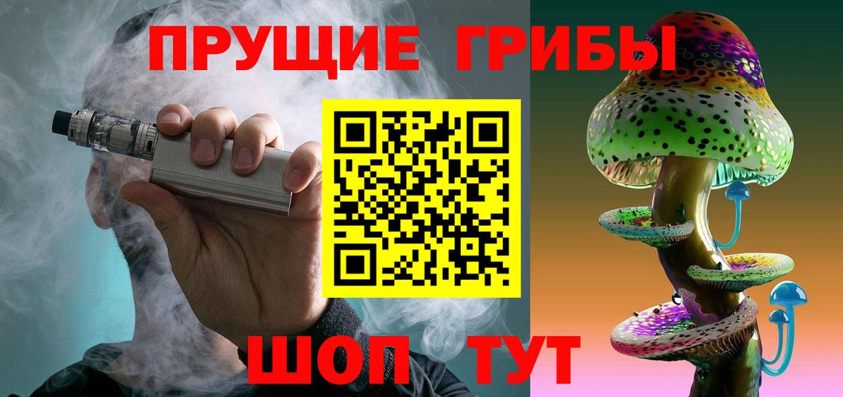 Галлюциногенные грибы Psilocybine cubensis Гурьевск